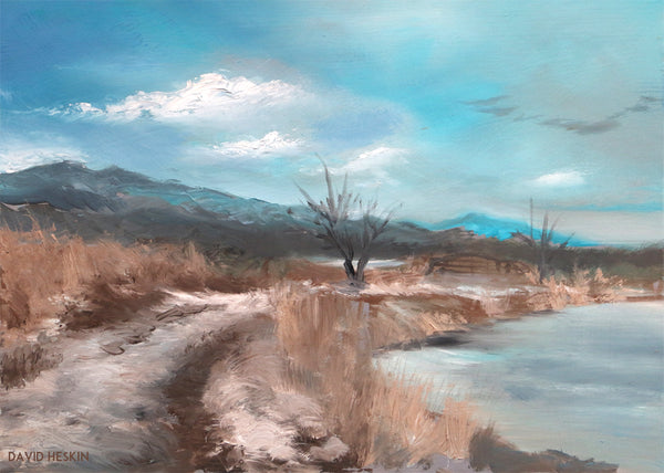 David Heskin - Jayhawker Ponds in Winter