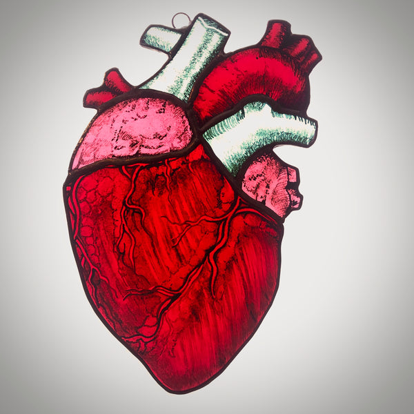 Real Heart Anatomy