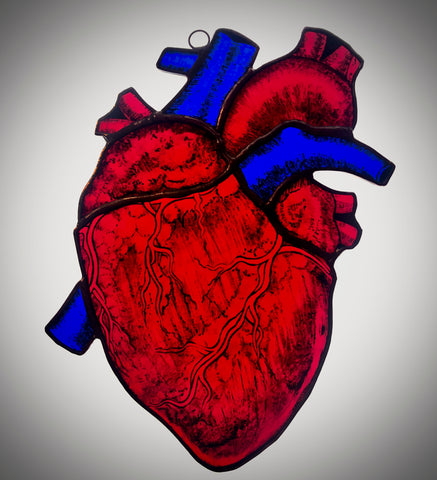 Anatomical Heart II.